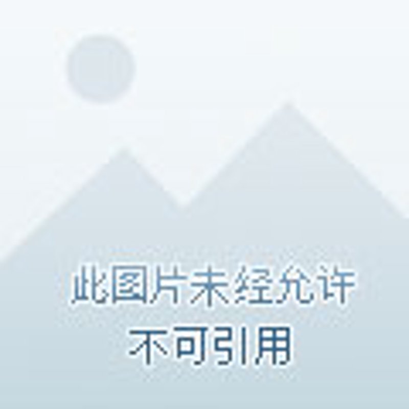 国际货运，一场跨国之旅的幕后英雄